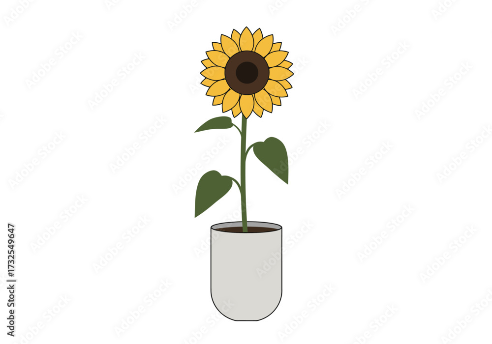 Obraz premium Single Sunflower in a Pot Bright Yellow.