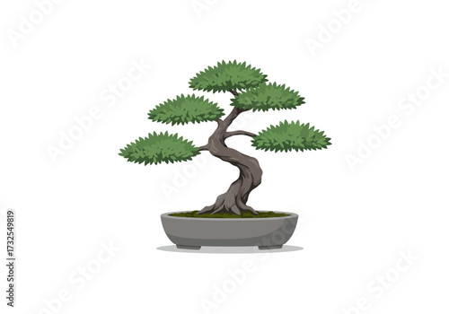 Japanese Bonsai Tree in Grey Pot.