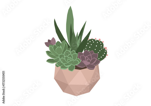 Succulents and Cactus in Geometric Pot.