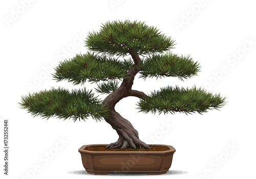 Japanese Bonsai Tree in Brown Pot.
