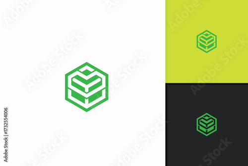 Geometric hexagon cube logo, abstract 3D structure design, futuristic symbol of technology, modern minimal emblem, creative branding identity concept.