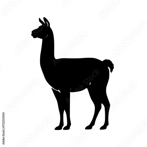 Striking silhouette of a llama, perfect for adding a touch of exotic flair to your designs or showcasing South American wildlife in a modern, minimalist style