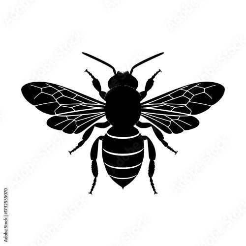 Striking silhouette of a honeybee in flight, perfect for nature designs, educational resources, or adding a touch of organic elegance to your project