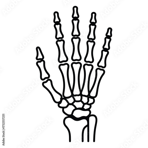  Detailed outline of a human skeleton hand with visible bones and joints