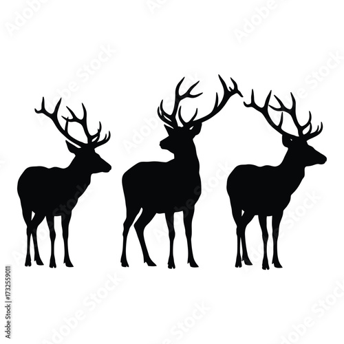 Majestic three deer silhouettes majestic antlers regal wildlife forest creatures elegant poses meadow grazing nature scene herd animal graphics wild nature woodland silhouette