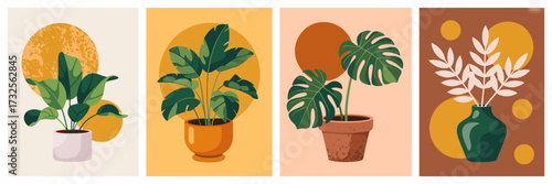 This set of four elegant plant illustrations showcases various indoor plants with playful backgrounds, highlighting the beauty and tranquility they bring to homes.