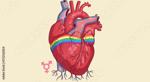 Heart with rainbow stripe and transgender symbol representing love and identity