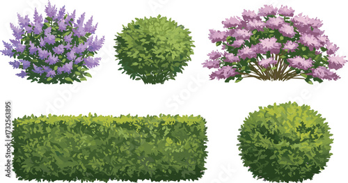 Shrub and bush illustration set, cartoon garden plants, floral foliage icons, landscaping clipart pack, nature design elements, vector hedge graphics, outdoor assets