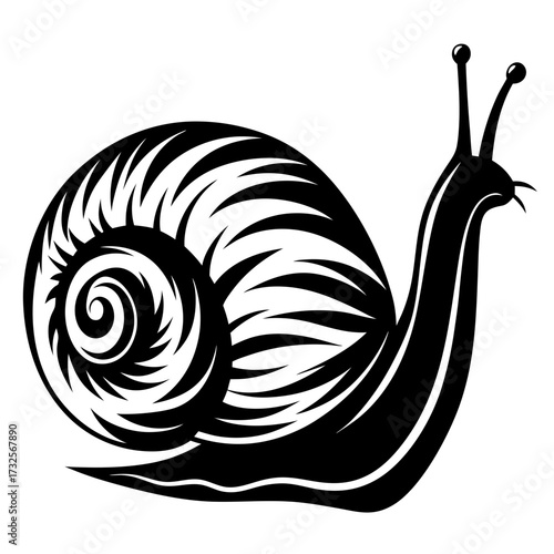 Bold black and white illustration of a stylized snail with a detailed shell