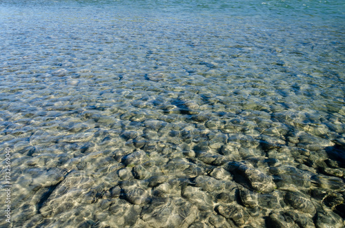  Amazing view of the Vedder Riverbed with pebbles visible through crystal clear water. The sunlight shines on the repples in the shallow river at Chilliwack, BC, Canada
