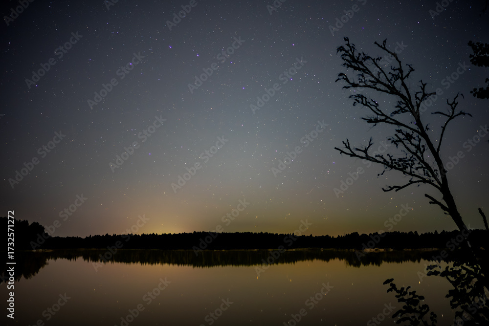 Naklejka premium Autumn Night Sky Reflected on Finnish Lake with Tree in Foreground