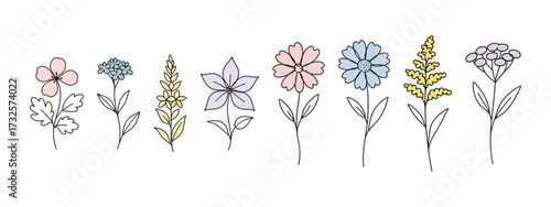 Continuous line drawing. Minimalist floral illustrations