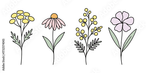 Stylized floral. Minimalist floral illustrations