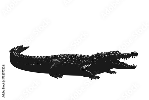 Vector Crocodile Design: Wild Animal, Reptile, Easy Editable Layered Illustration, Isolated on White Background, Alligator, Danger.







