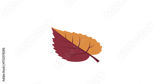 Colorful autumn leaf icon on white background in flat design