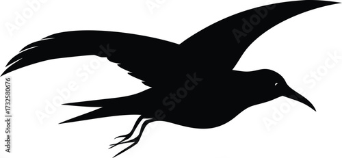 a black bird with a long beak flying in the air