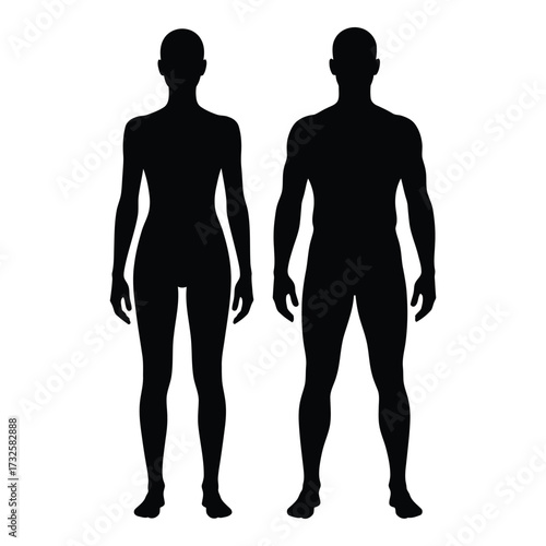 Silhouette figures of male and female anatomy standing together representing human form and diversity silhouette