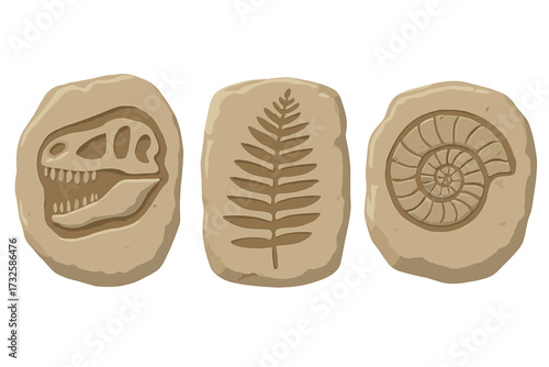 Prehistoric imprints of dinosaur skull, fern leaf, and ammonite fossil in stone cuts, realistic vector illustration, flat style, isolated on white background, ancient fossil collection
