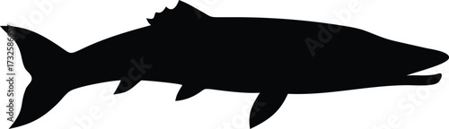 barracuda fish silhouette