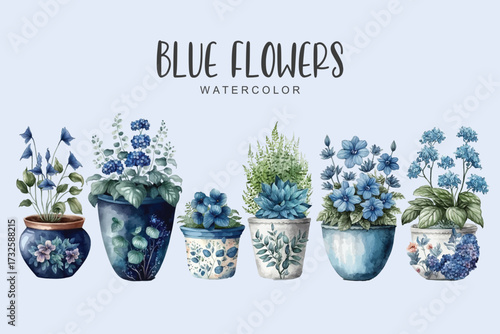 blue flowers in pot set collection , watercolor in isolated background