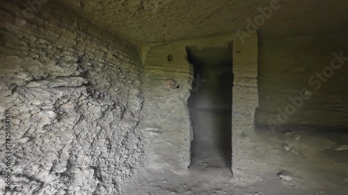The Simple Monastic Life: A View Inside One of the Ancient Rock-Cut Buddhist Cells or Chambers at the Kanheri Caves Complex, Highlighting Interior Carvings