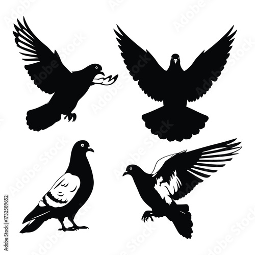 Dynamic silhouettes of four pigeons in flight and perched capturing avian grace and movement silhouette
