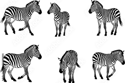 Llama silhouettes, black llama, white llama, grazing llama, sitting llama, walking llama, alpaca illustration, farm livestock, South American wildlife, animal outline vector design