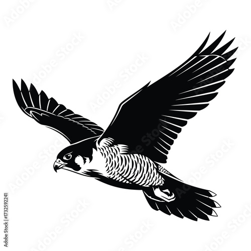Peregrine falcon in flight majestic bird of prey soaring with wings spread wide capturing its speed silhouette