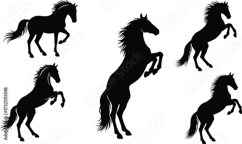 Dynamic black horse silhouettes in rearing poses, powerful vector illustration for wildlife, ranch, farm, animal design, strength, freedom themes