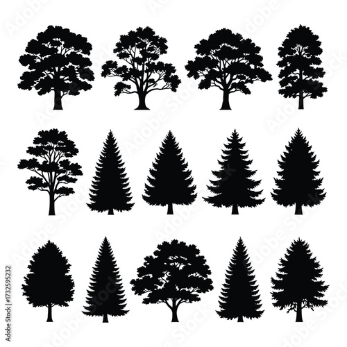Diverse collection of tree silhouettes various species deciduous coniferous natural elements for design projects silhouette