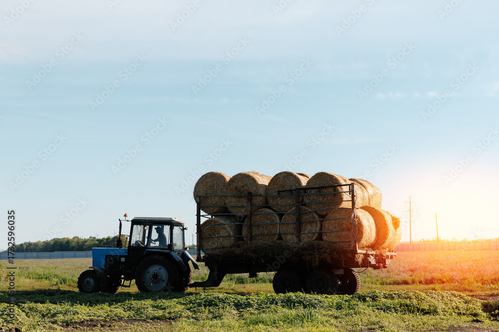 Obraz premium Blue Tractor pulling hay bales in sunny rural landscape with blue sky, sunlight