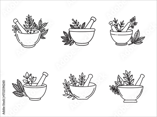 Botanical Mortar and Pestle Collection Line Art Illustration Set Vector