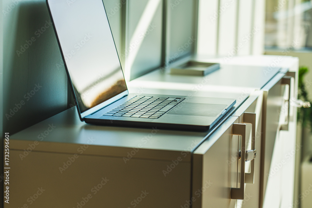 Fototapeta premium Laptop Office Cabinet Archive Sunlight Interior