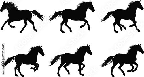 Silhouette sequence of running horse showing dynamic motion, galloping stages, animal locomotion, equestrian speed, black vector illustration for design