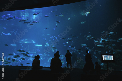 People observing manta rays and sharks in one of the world’s largest curved viewing window in Aquarium Poema del Mar, in Las Palmas, Gran Canaria.