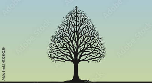A silhouetted deciduous tree against a gradient sky, symbolizing nature's cycles and the changing seasons, evoking a sense of calm