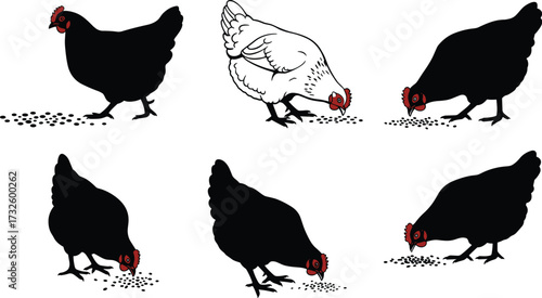 Silhouettes of chickens pecking ground with visible red combs and wattles, farm poultry feeding behavior vector illustration for agriculture design