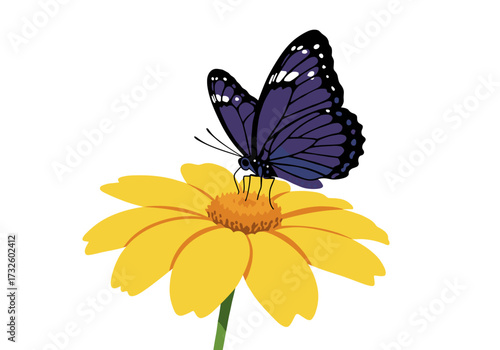 Butterfly landing on yellow flower nature scene wildlife bright environment view serenity concept