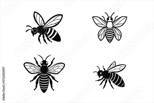 Flying Butterfly Vector Illustration Bundle – Elegant Designs for Nature Lovers