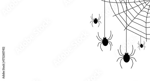 Halloween Spiders and Cobweb Graphic on White Background with Copy Space