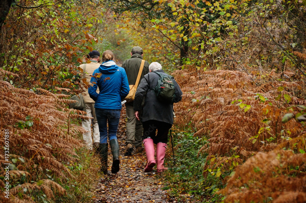 Naklejka premium Walking in autumn in a woodland