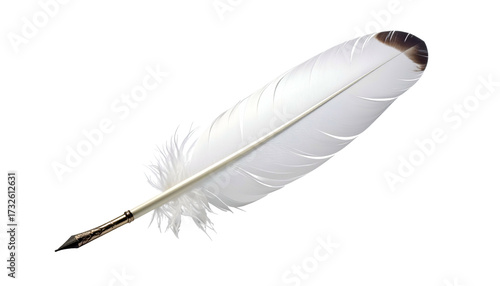 Isolated quill pen with white and brown feather against black