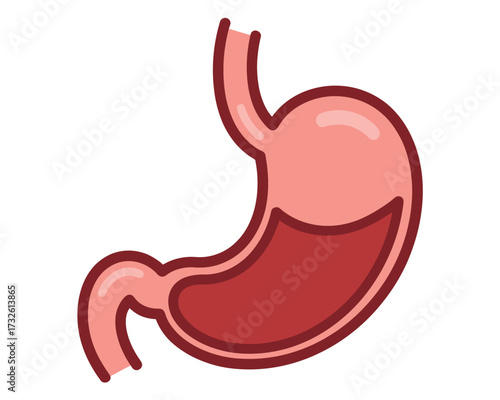 Illustration of a human stomach with digestive fluid