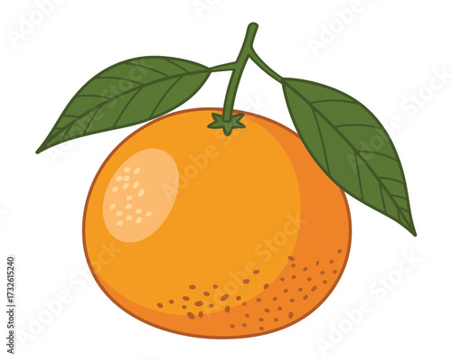 Single orange fruit with green leaves on a branch