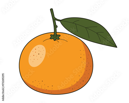 Fresh orange fruit with stem and leaf isolated on white background