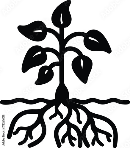 pepper plant with roots silhouette