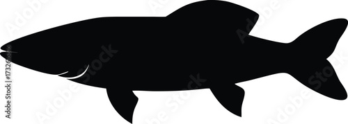 pike fish silhouette