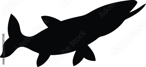pike fish silhouette