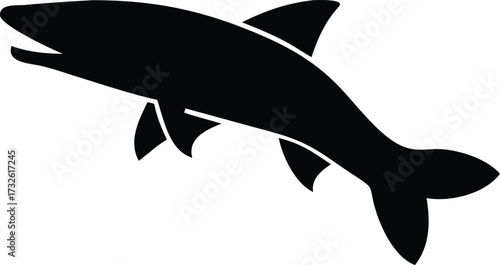 pike fish silhouette