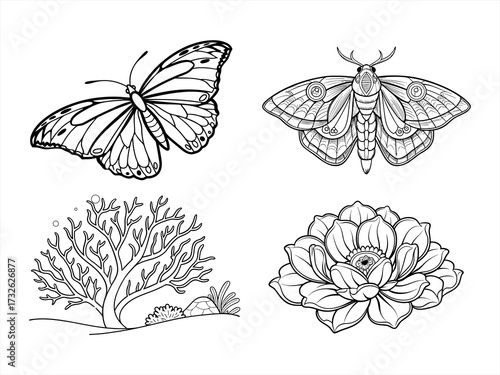 coloring page line art the butterfly black vector bundle